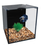 Aqua One Betta Condo Mono with Heater and Filter - Amazing Amazon