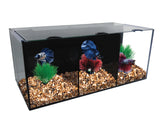 Aqua One Betta Condo Trio with Heater and Filter - Amazing Amazon