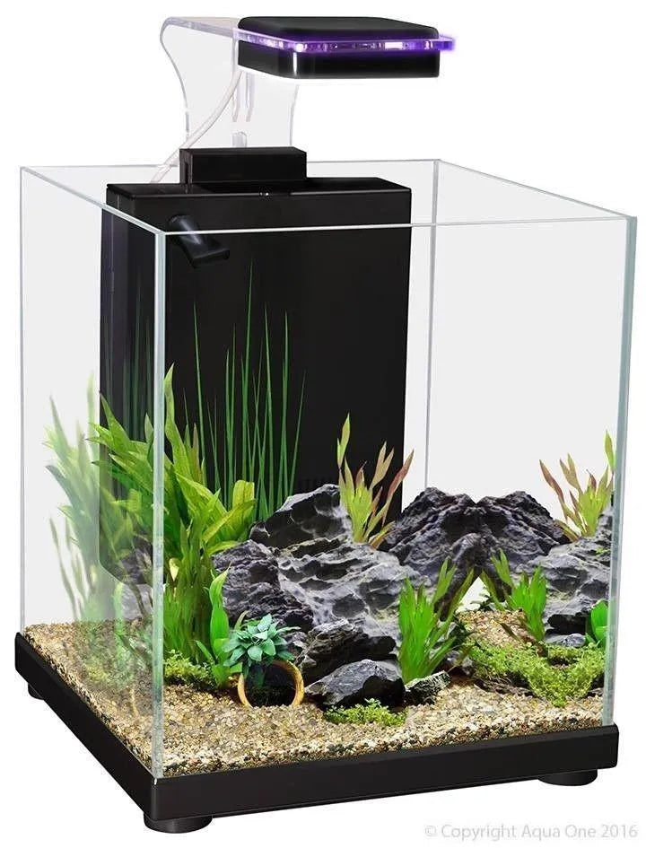 Fighter Fish Box Shop AQUARIUM - AQUARIUMS/FISH TANKS - BETTA TANKS / SIAMESE FIGHTING ...