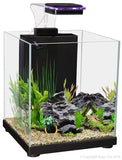 Aqua One Betta Fighter Fish Sanctuary Black - Amazing Amazon