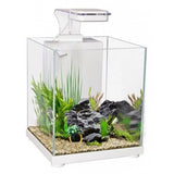 Aqua One Betta Fighter Fish Sanctuary White - Amazing Amazon