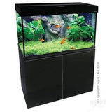 Aqua One Brilliance 100 Aquarium 225L - Amazing Amazon