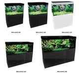 Aqua One Brilliance 100 Aquarium 225L - Amazing Amazon