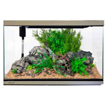 Aqua One Lifestyle Classic Complete Glass Aquarium - Amazing Amazon