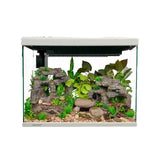 Aqua One Lifestyle Classic Complete Glass Aquarium - Amazing Amazon