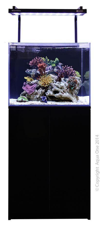 Aqua One Mini Reef Marine Aquarium 120 Litres - Amazing Amazon