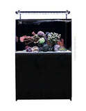 Aqua One Mini Reef Marine Aquarium 160 Litres - Amazing Amazon