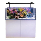 Aqua One Mini Reef Marine Aquarium 215 Litres - Amazing Amazon