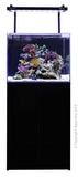 Aqua One Mini Reef Marine Aquarium 90 Litres - Amazing Amazon