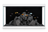 Aqua One Radiance 3 Aquarium with black substrate, rock scape and colorful tropical fish