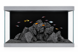Aqua One Radiance 3 Aquarium with black substrate, rock scape, and colorful tropical fish
