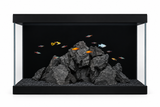 Aqua One Radiance 4 Aquarium featuring black rock decor and colorful tropical fish.