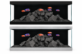 Aqua One Radiance 6 527L aquarium 180 x 60 x 60cm