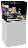 Aqua One ReefSys 255 Aquarium - Amazing Amazon