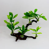Aquarium Reptile Ornament Branching Tree with Plants - Amazing Amazon