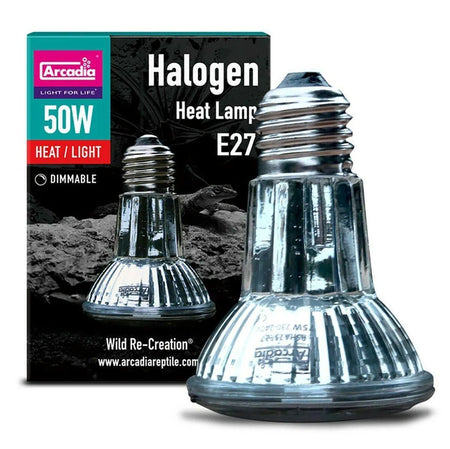 Halogen heat shop lamp bulb