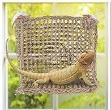 Bearded Dragon Reptile Hammock Sun Lover - Amazing Amazon
