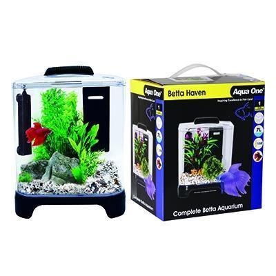 Betta Haven Fighter Fish Aquarium with Heater and Filter - Amazing Amazon