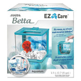 Betta Tank Fighter Fish Aquarium - Amazing Amazon