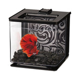 Betta Tank Fighter Fish Aquarium - Amazing Amazon