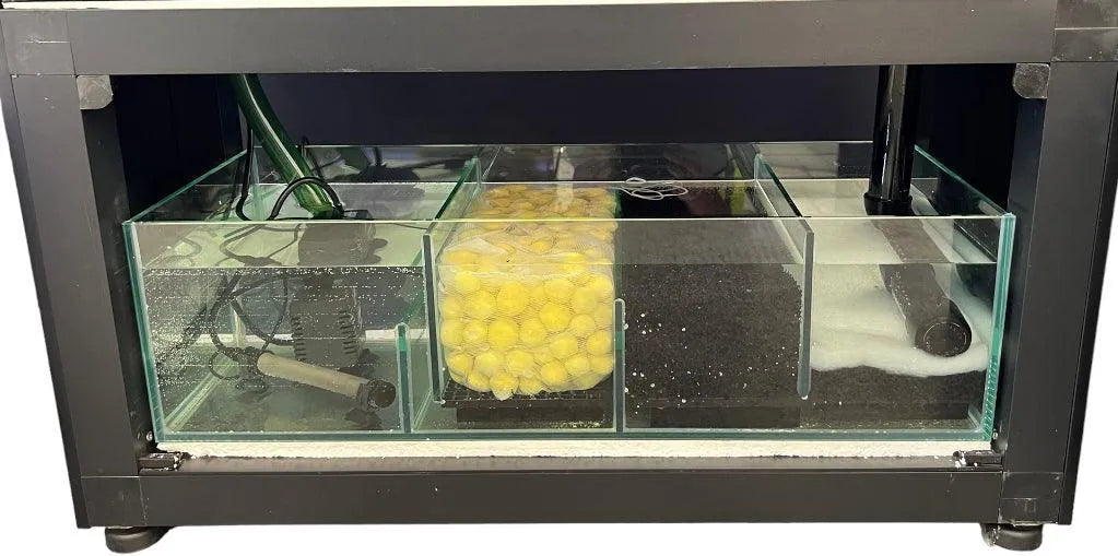 Fighter Fish Box Betta Tank Fighter Fish Display Tank - Amazing Amazon