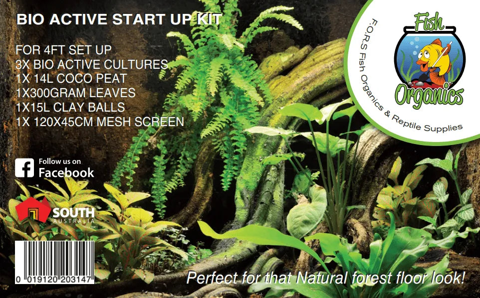 Bioactive Terrarium Kit 45cm | Aquarium and Reptiles | Amazing Amazon