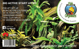 Bioactive Terrarium Kit - Amazing Amazon