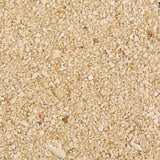 Bioscape Coral Sand 5kg – 1 mm Natural Marine Substrate - Amazing Amazon