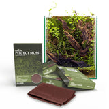 BioScape Perfect Moss Matting - Amazing Amazon