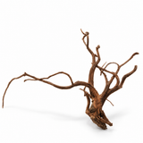 BioScape Medium Spider Root natural wood for reptile enclosures terrariums and aquariums