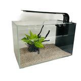 Bioscape Tropic Aquarium 13 litre - Amazing Amazon