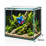 Blue Betta fish in a BioScape Tropic 10L desktop aquarium with plants and rocks.