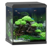 Planted aquarium with colorful fish, green aquatic plants, rocks, and driftwood.