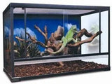 Budget Terrarium Double Large - Amazing Amazon