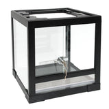 Budget Terrarium Small - Amazing Amazon