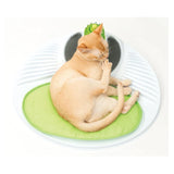 Catit 2.0 Wellness Centre - Amazing Amazon