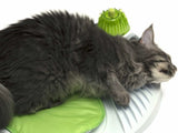 Catit 2.0 Wellness Centre - Amazing Amazon