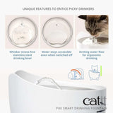 Catit Pixi Smart Cat Drinking Fountain - Amazing Amazon