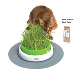 Catit Senses 2.0 Cat Grass Planter With Seed Pack - Amazing Amazon