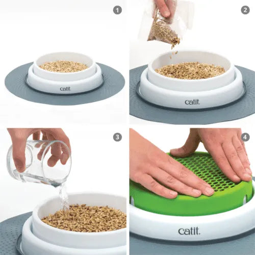 Catit senses grass shop