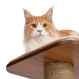 Catit Vesper Giant Cat Home Complex with Platforms - Amazing Amazon