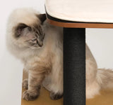 Catit Vesper High Base Black Cat Home with Twin Platform - Amazing Amazon