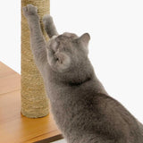 Catit Vesper High Base XL Walnut Cat Home with Multi Platforms - Amazing Amazon