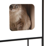 Catit Vesper Patio White with Scratcher Pad Large - Amazing Amazon