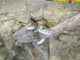Coastal Carpet Python - Amazing Amazon