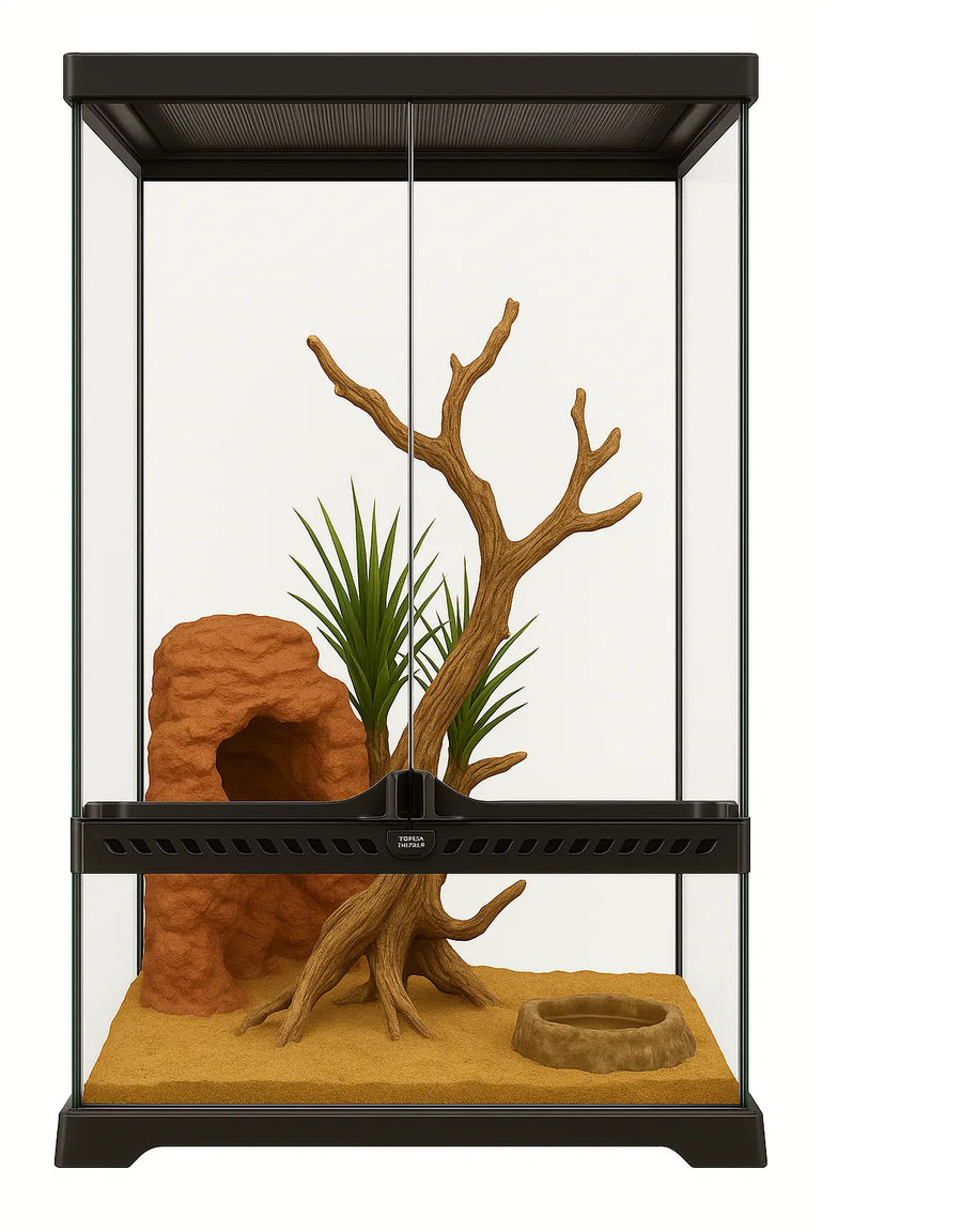 Insect Tank Shop Stick Insect Enclosures at Amazing Amazon | Amazing Amazon