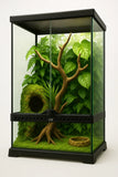 Deluxe Reptile Terrarium 30cm x 30cm x 60cm - Amazing Amazon