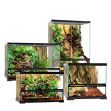 Glass reptile terrariums with naturalistic plants and branches, suitable for reptiles.