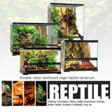 Glass reptile terrariums with rainforest backgrounds and decorative plants, suitable for reptiles.