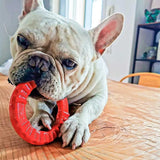 Dog Dental Ring Smile Medium - Amazing Amazon